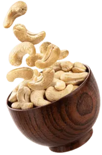 cashew